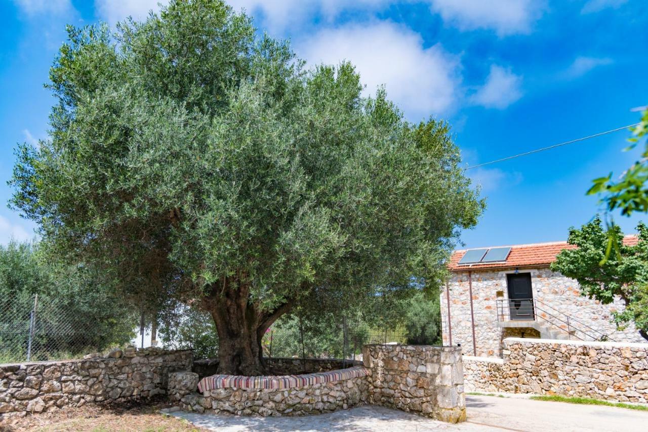 Private Villa Demetra 1768 With Pool - Close To Fiskardo Extérieur photo